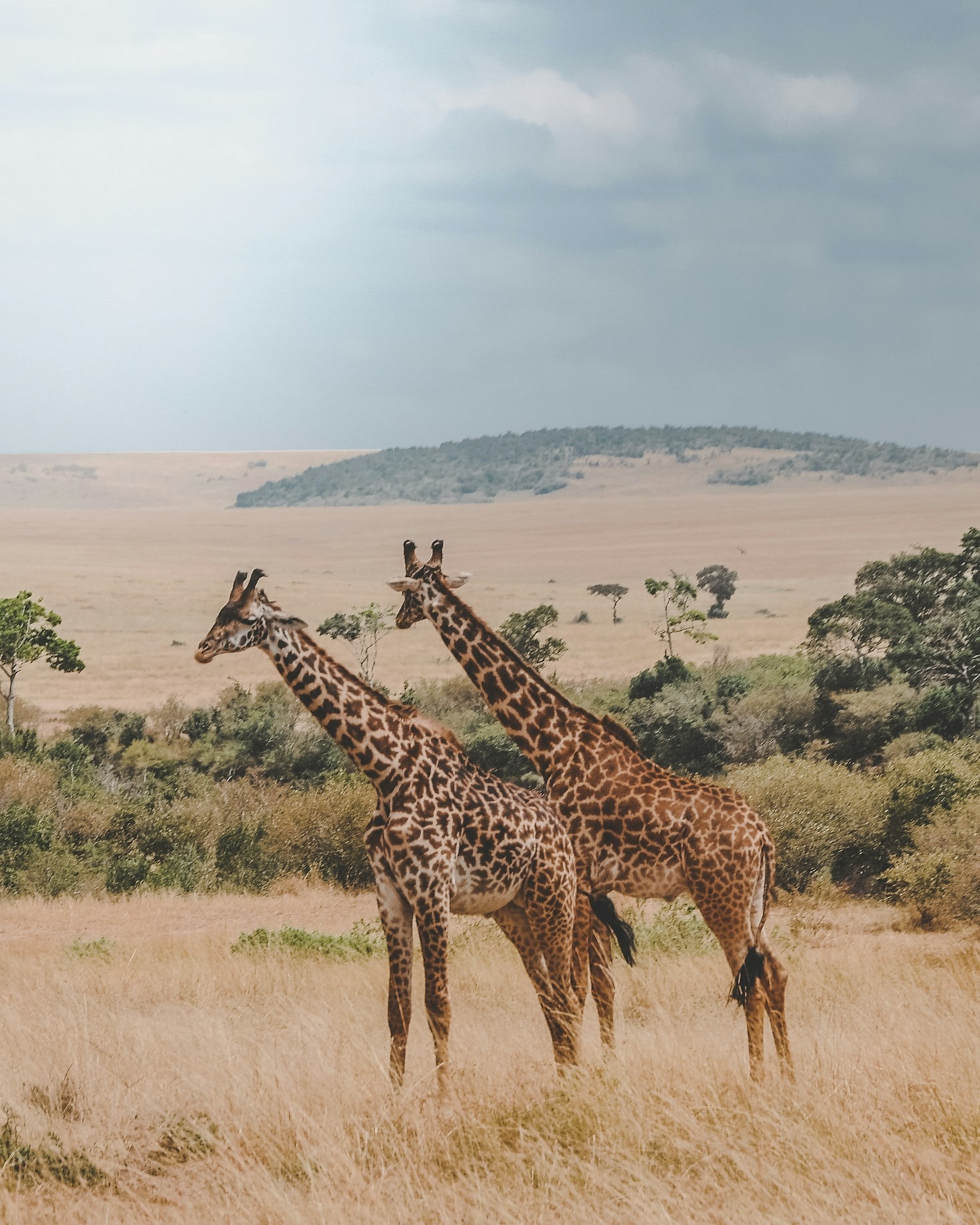 Why Africa Should Be on Your Travel Bucket List