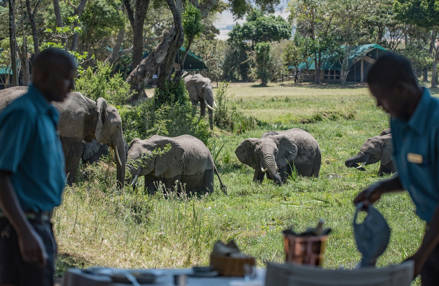 Most Booked Safari Lodges in Africa (2026)