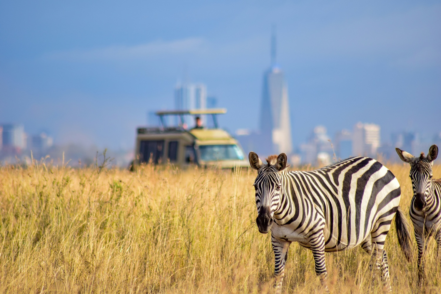 Nairobi National Park Complete Guide: Map, Junctions, Wildlife, Picnic Sites & Tips (2026)