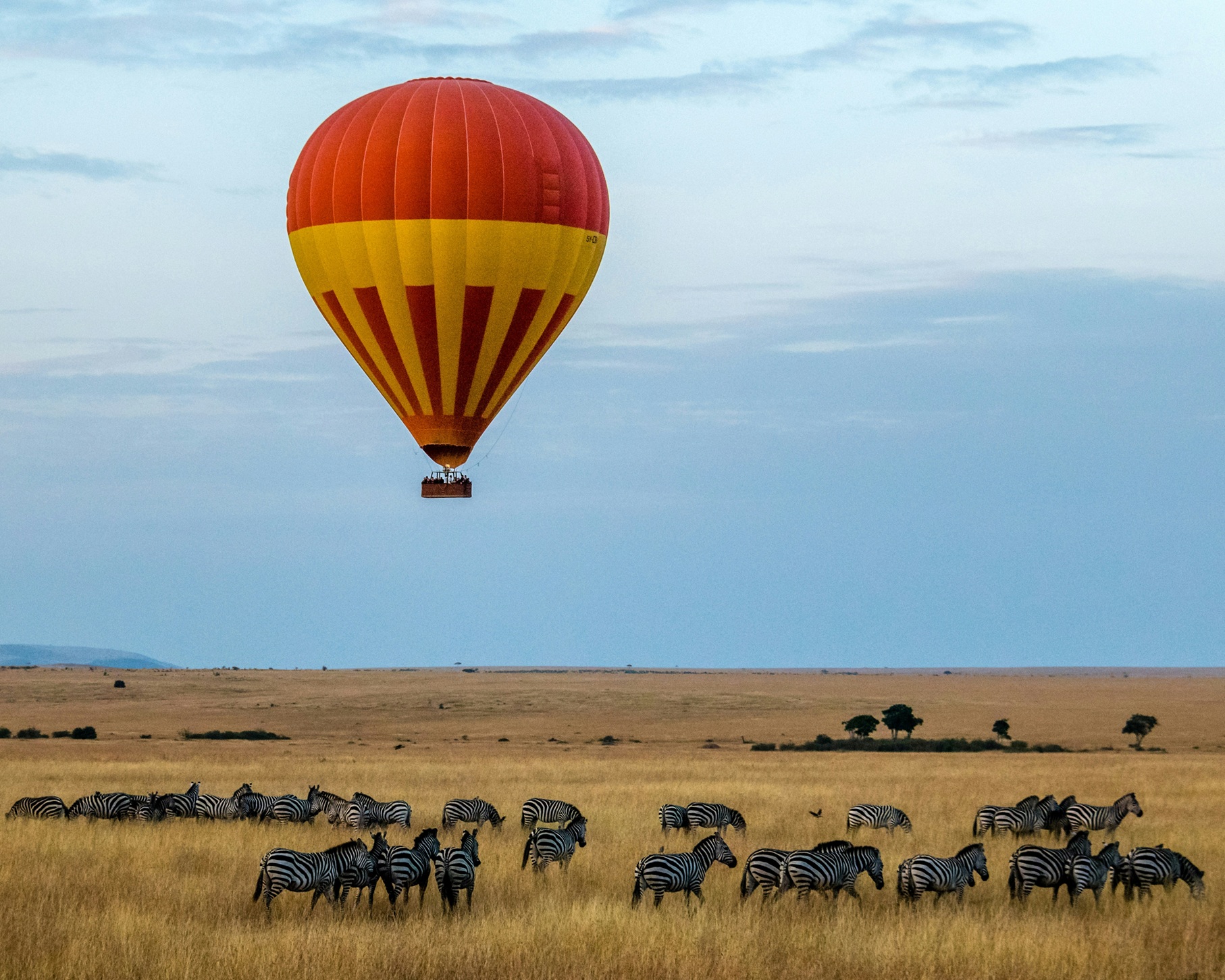 Masai Mara National Reserve Complete Guide: Map, Junctions, Wildlife, Picnic Sites & Tips (2026)