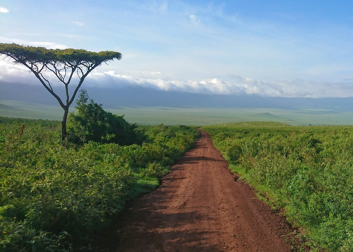 Ngorongoro Crater Guide: Best Time, Map & Safari Tips (2026 Guide)