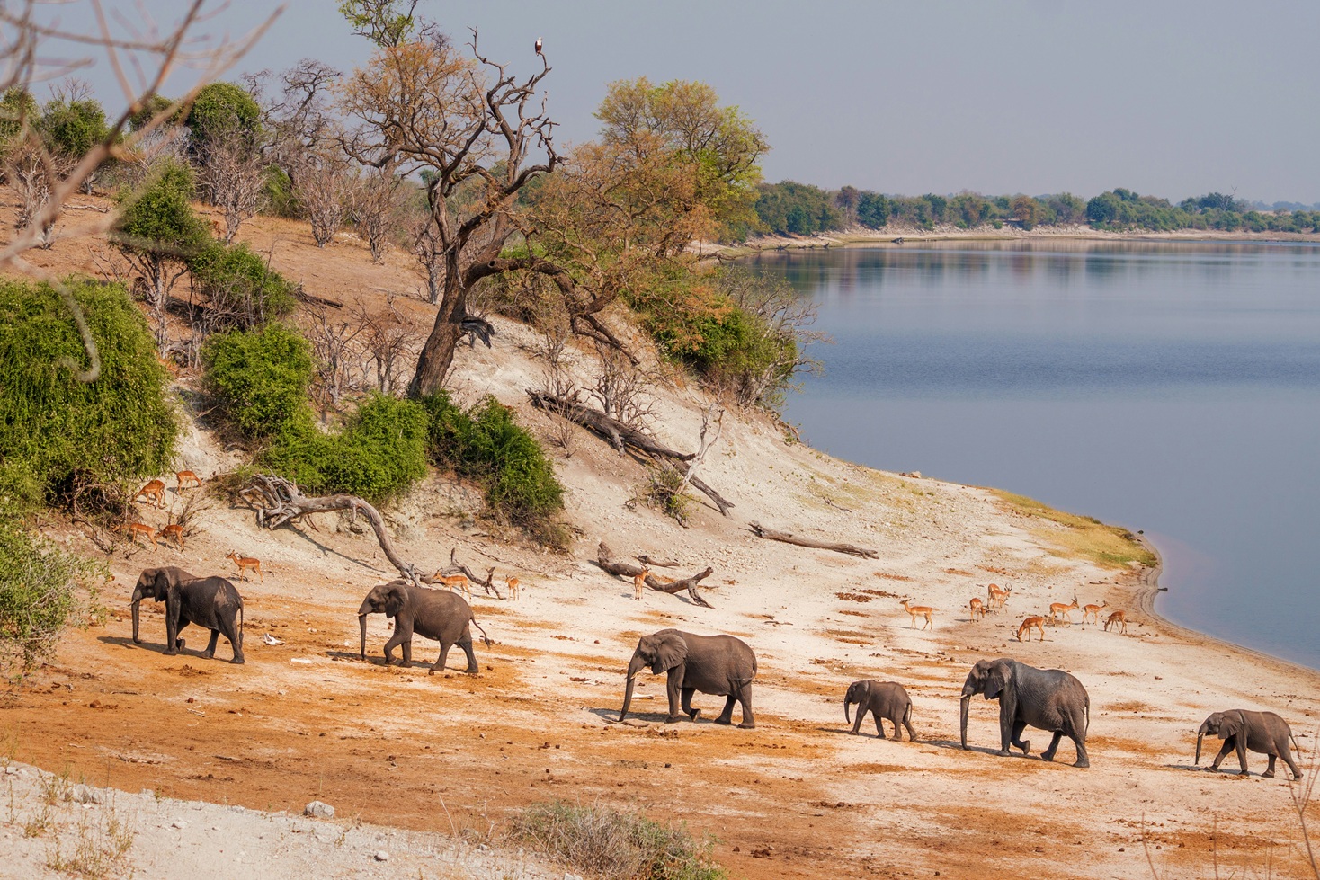 Hidden Gem Hotels in Botswana: 10 Underrated Stays