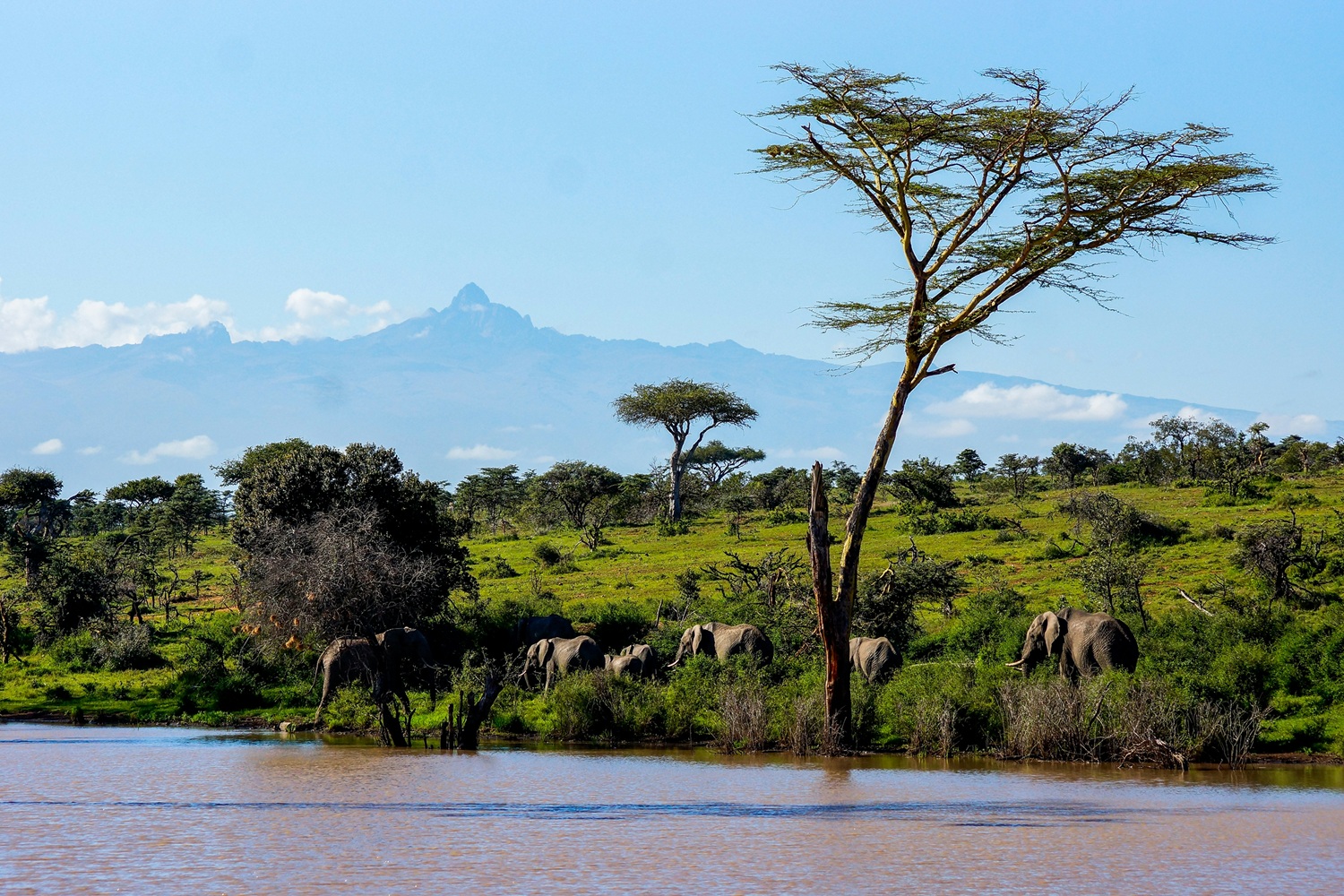Mount Kenya National Park Guide: Routes, Map & Lenana (2026 Guide)