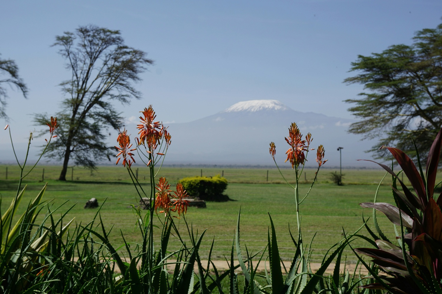 Amboseli National Park Guide: Best Time, Map & Tips (2026 Guide)
