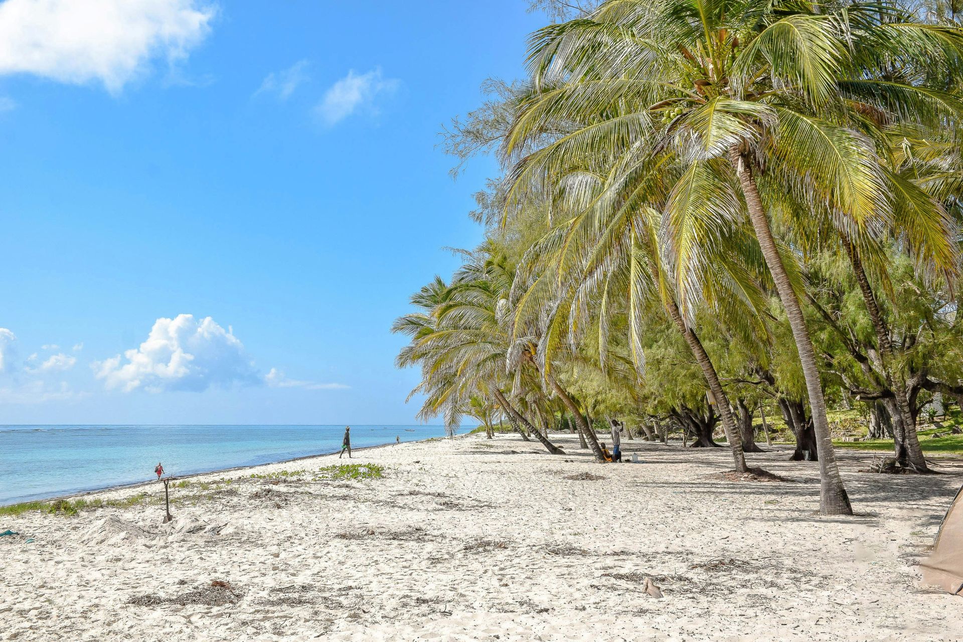 Top 10 Diani Beach Hotels for Food Lovers