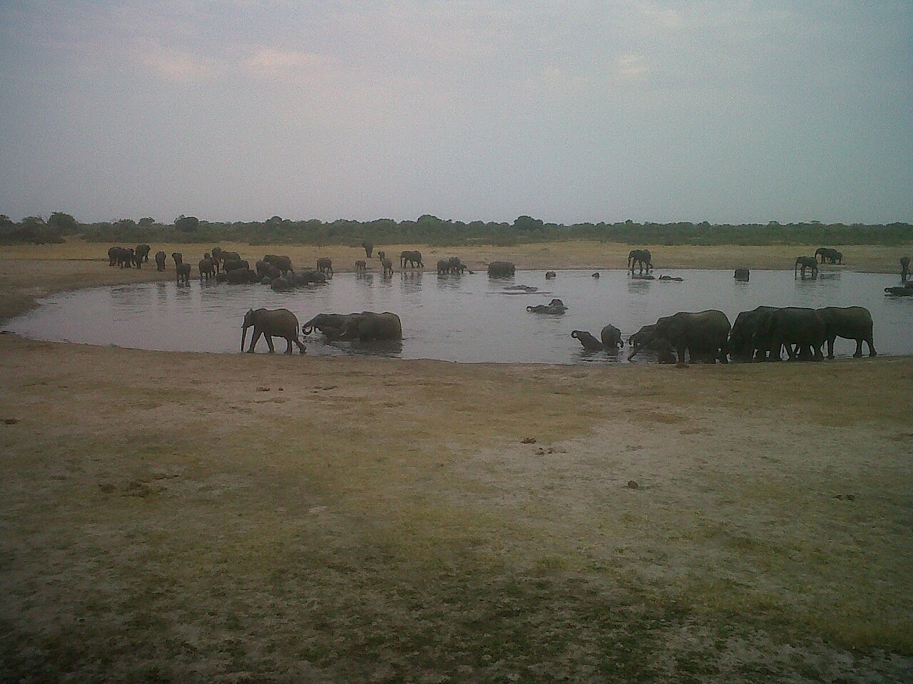 Hwange National Park: Best Time, Map & Safari Guide (2026)