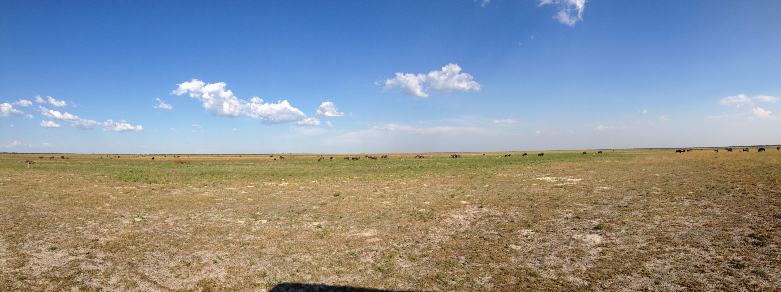Liuwa Plain National Park, Zambia