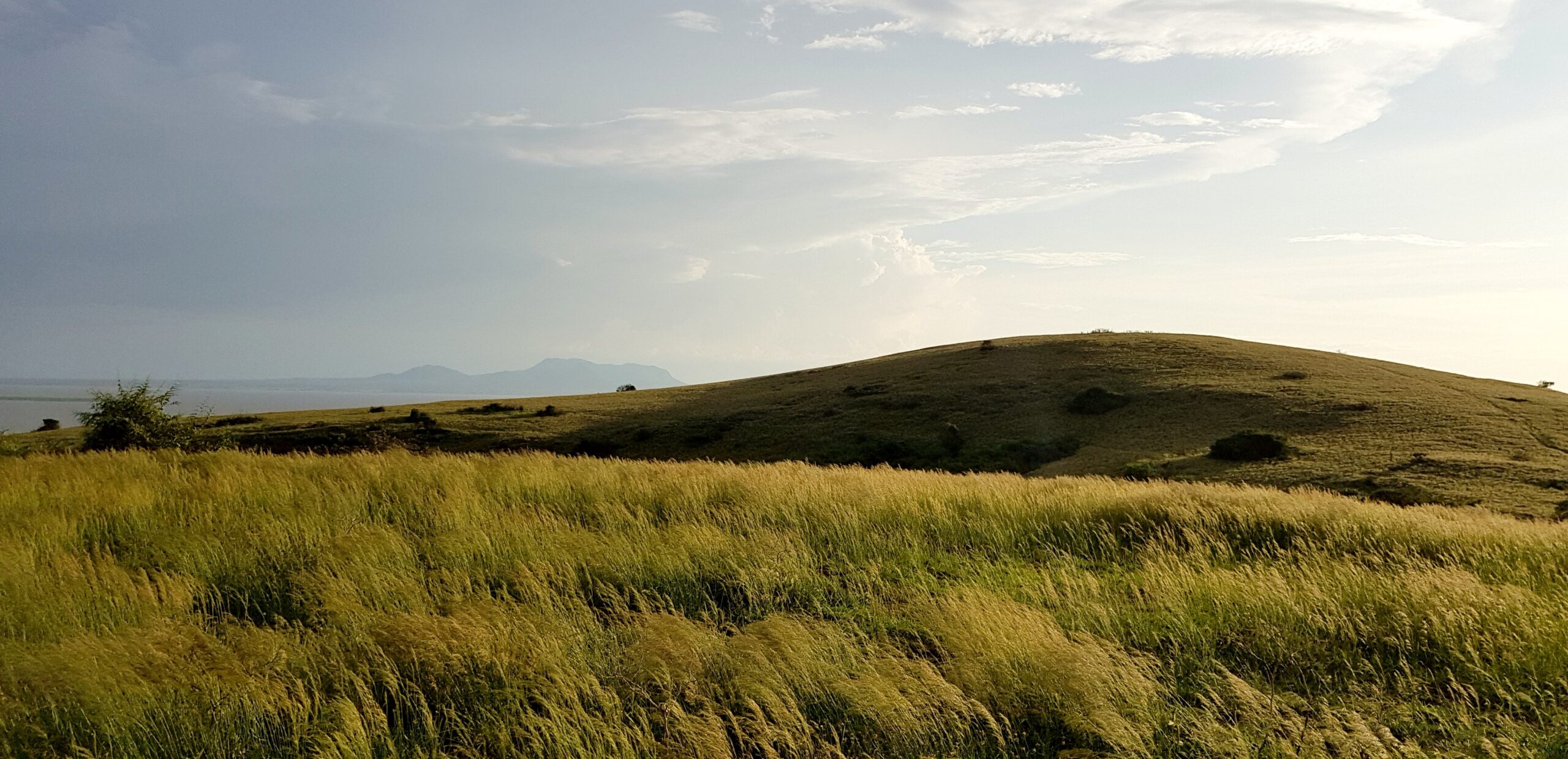 Ndere Island National Park Guide: Map, Wildlife & Boat Access (2026)