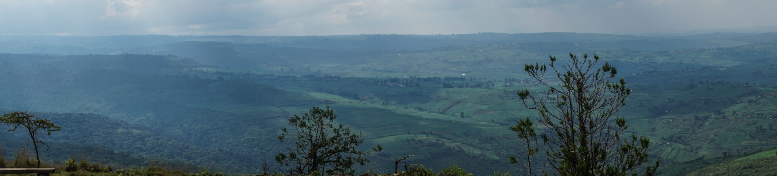 Saiwa Swamp National Park Guide: Sitatunga, Fees & Map (2026)