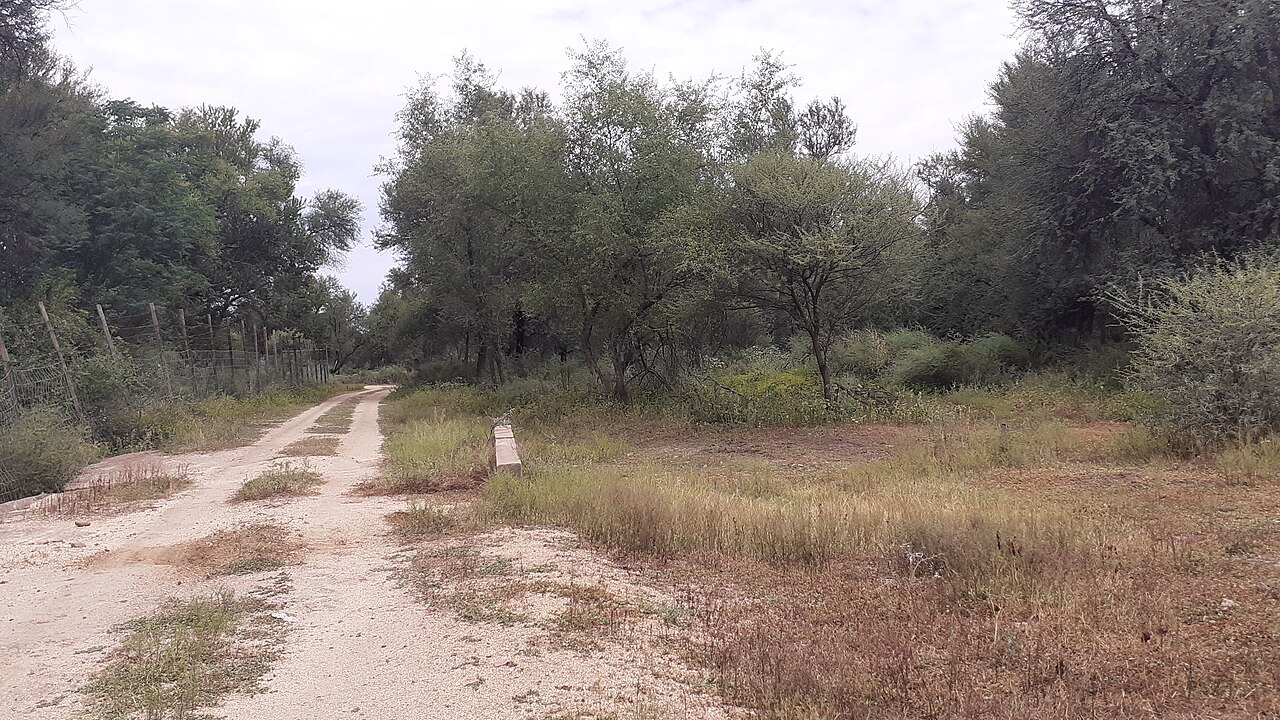 Gaborone Game Reserve Guide: Map, Wildlife & Self-Drive (2026)