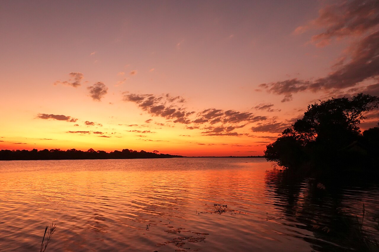 Kafue National Park Guide: Busanga, Safari Map & Planning (2026)