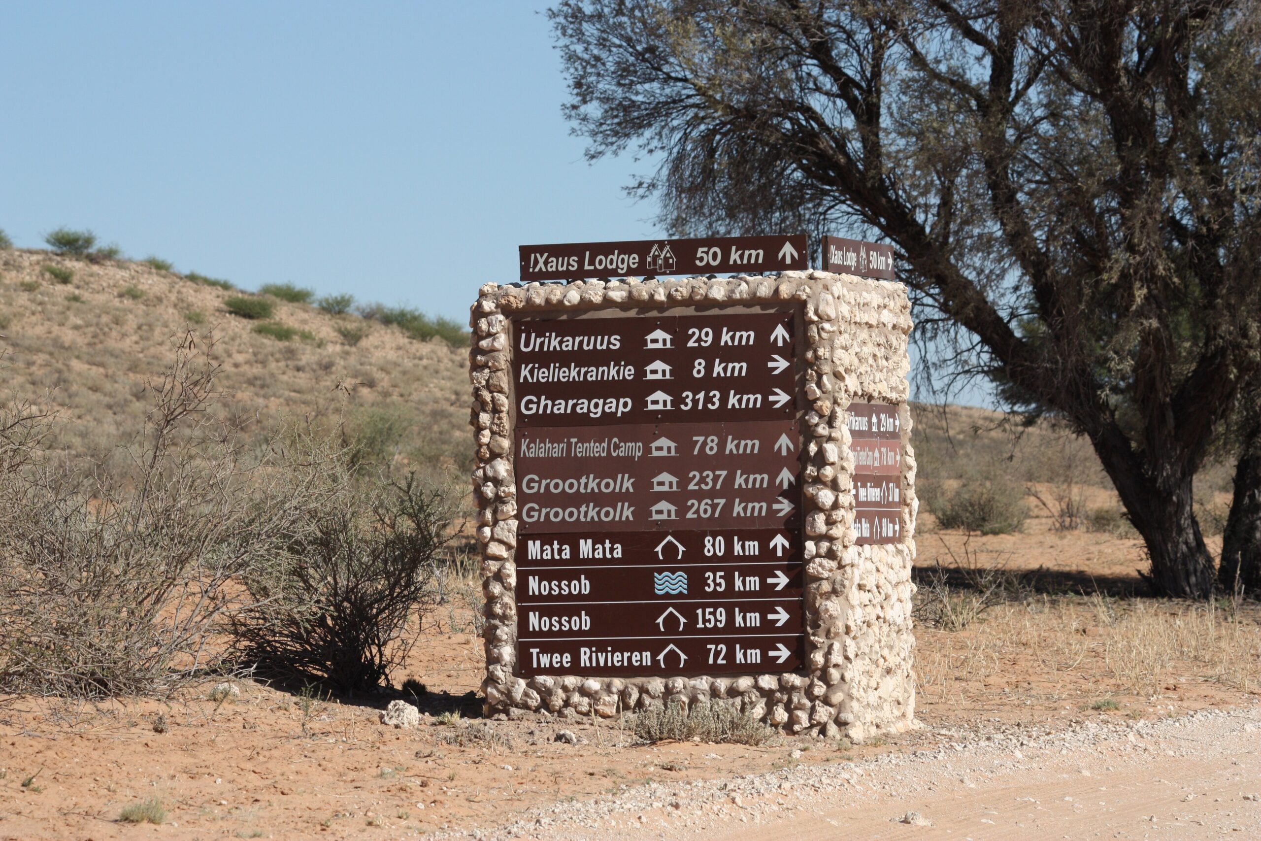 Kgalagadi Transfrontier Park Guide: Map & Best Time (2026)