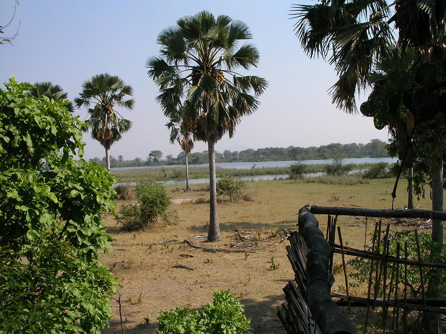 Liwonde National Park Guide: Safari, Map & Tips (2026)