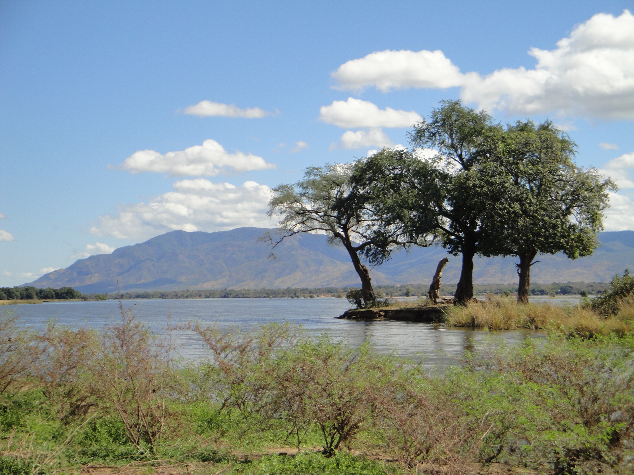 Mana Pools National Park Guide: Map & Best Time (2026)