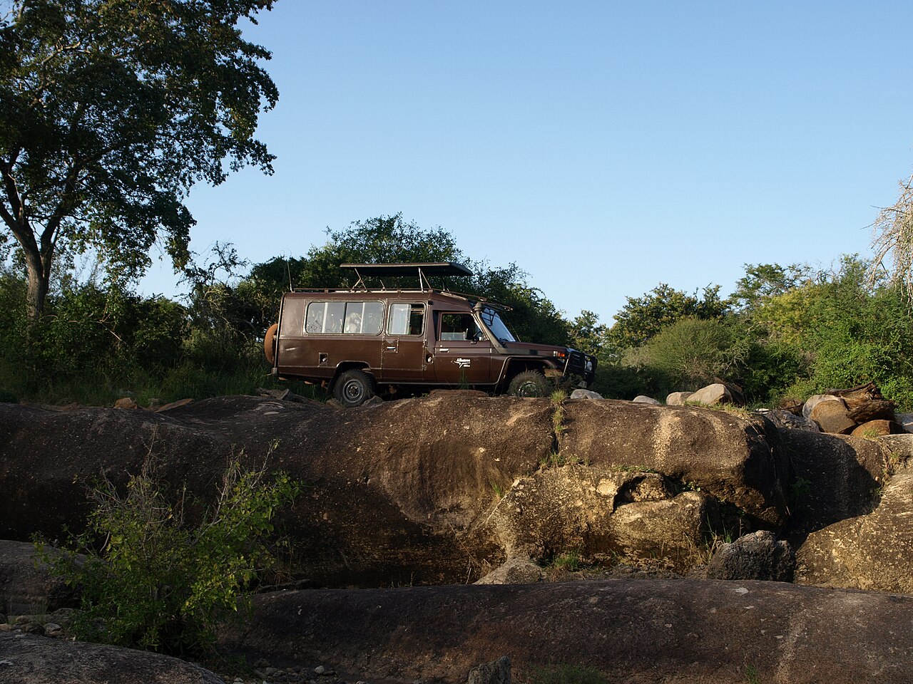 Mkomazi National Park Guide: Rhinos, Map & Safari (2026)