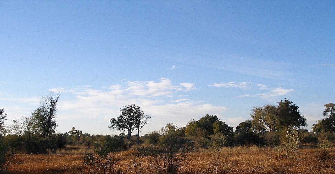 Moremi Game Reserve Guide: Map, Wildlife & Tips (2026)