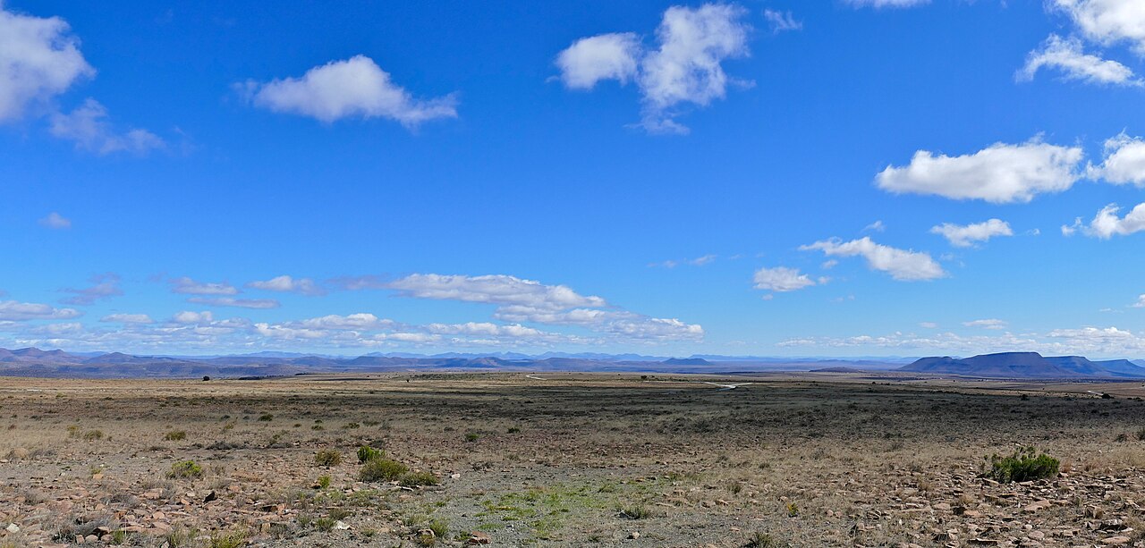 Rooiplaat landscape in Mountain Zebra National Park