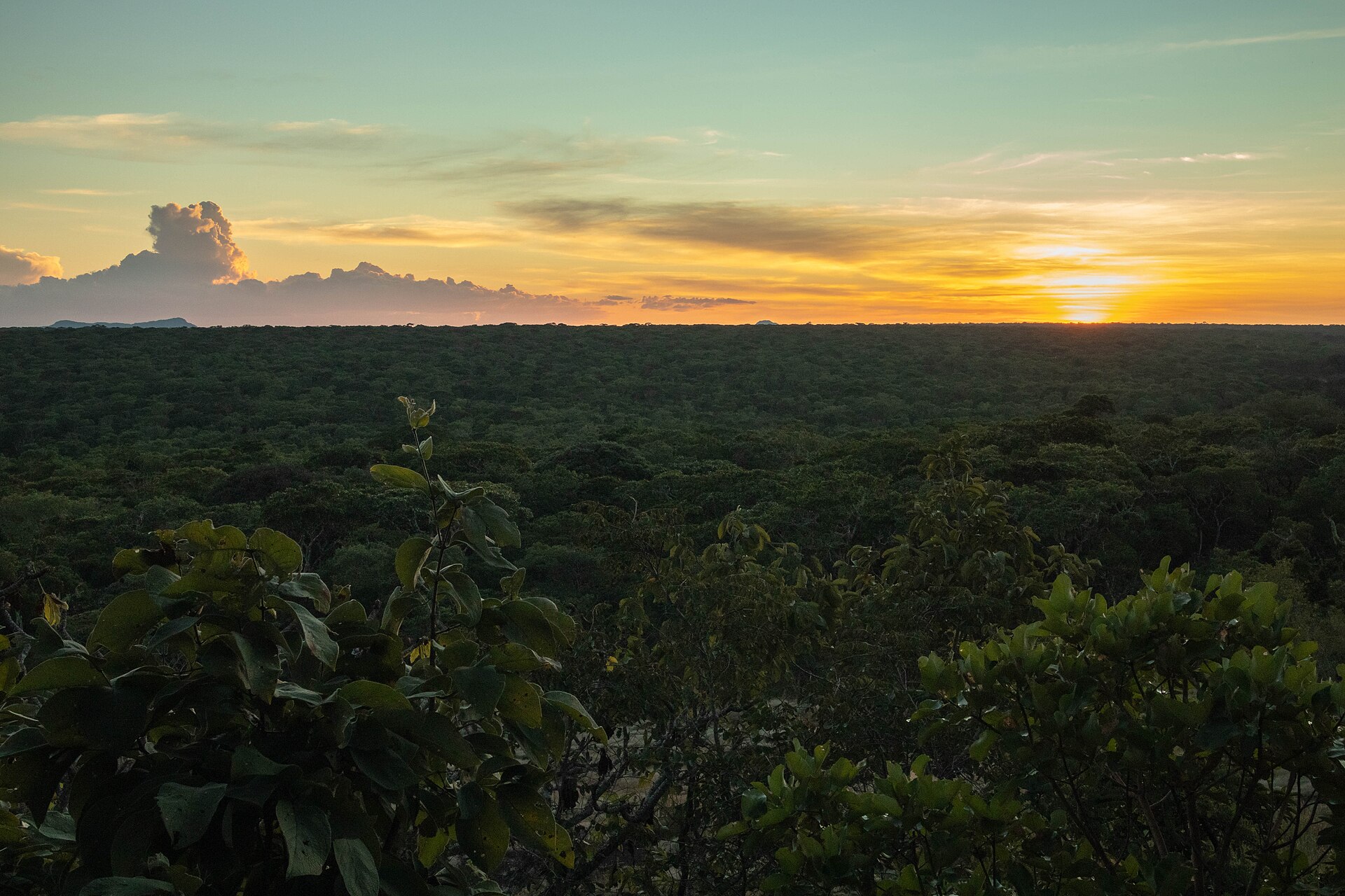 North Luangwa National Park Guide: Map & Self-Drive (2026)