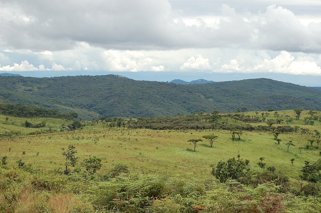 Nyika National Park Guide: Plateau, Wildlife & Map (2026)
