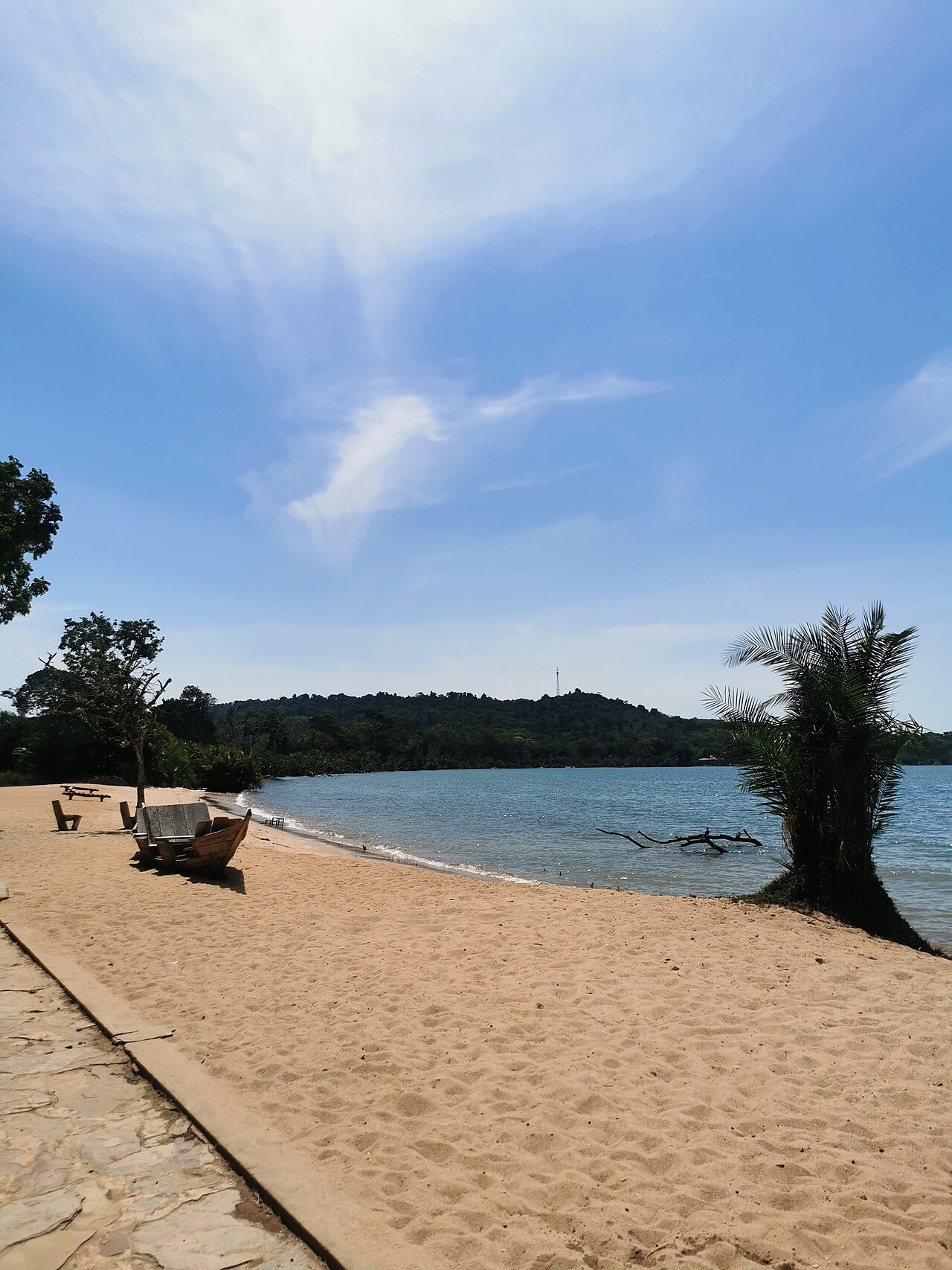 Rubondo Island National Park Guide: Chimps & Map (2026)