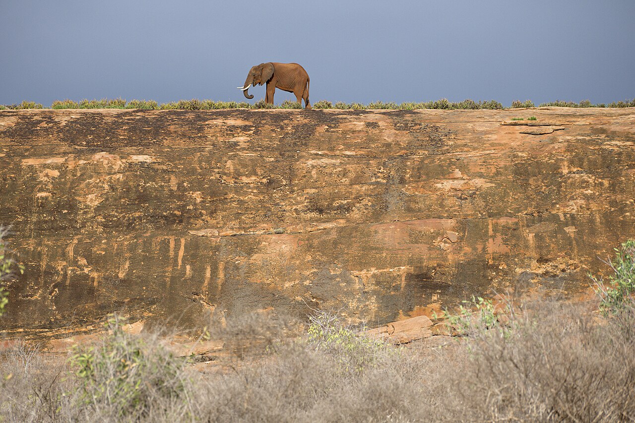Tsavo East National Park Guide: Safari, Map & Fees (2026)