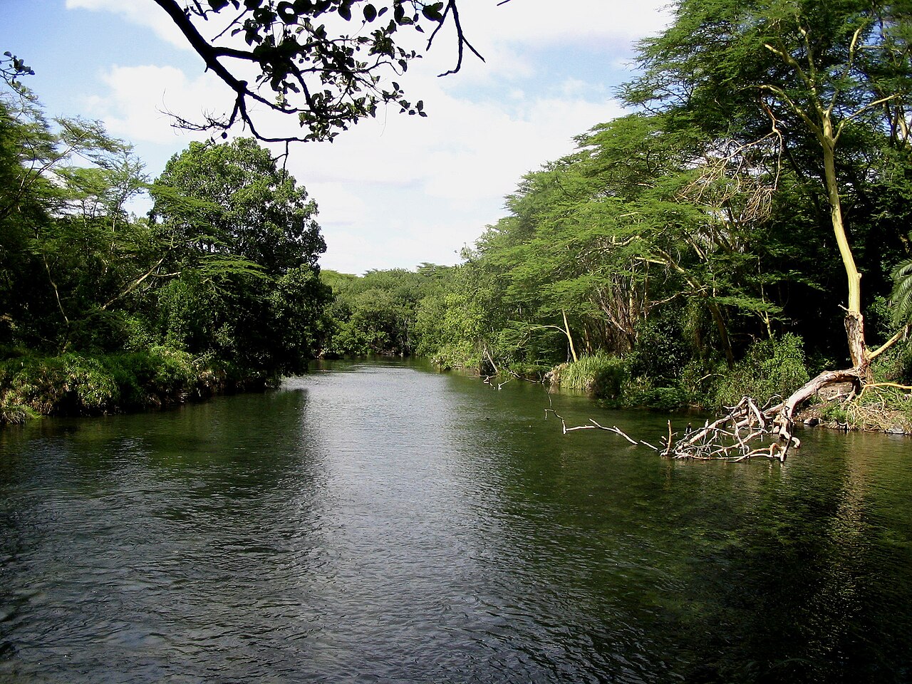 Tsavo West National Park Guide: Map, Safari & Fees (2026)