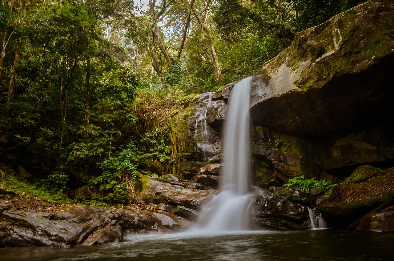 Udzungwa Mountains National Park Guide: Hikes & Map (2026)
