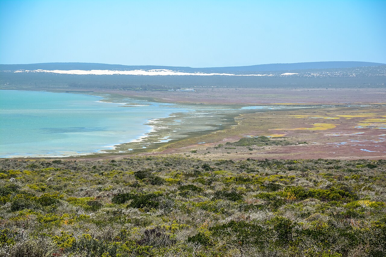 Turquoise Langebaan Lagoon in West Coast National Park