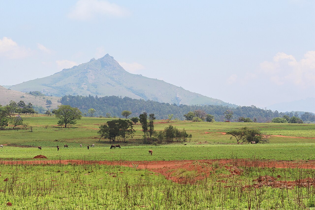 Mlilwane Wildlife Sanctuary Guide: Walks, Map & Safari (2026)