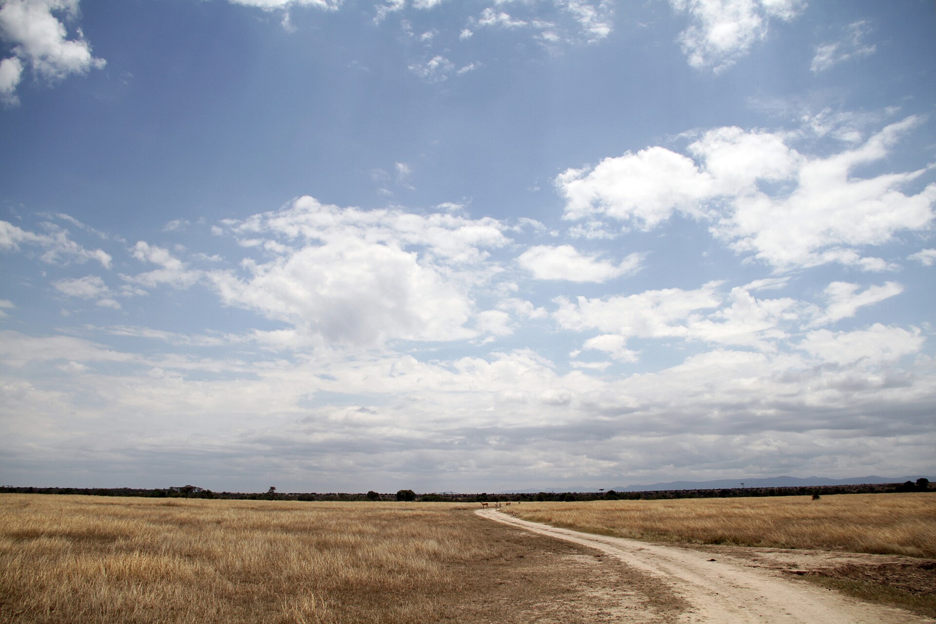 Ol Pejeta Conservancy Guide: Rhinos, Chimpanzees, Map & Lodges (2026)