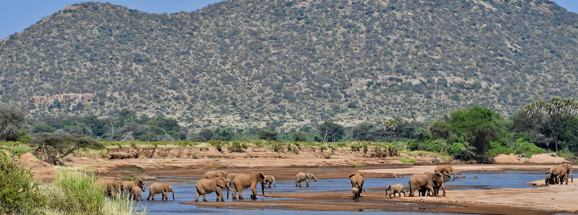 Samburu National Reserve Guide: Special Five, Map & Safari Lodges (2026)