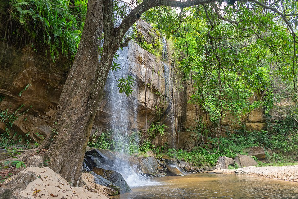 Sheldrick Falls waterfall in forested Shimba Hills