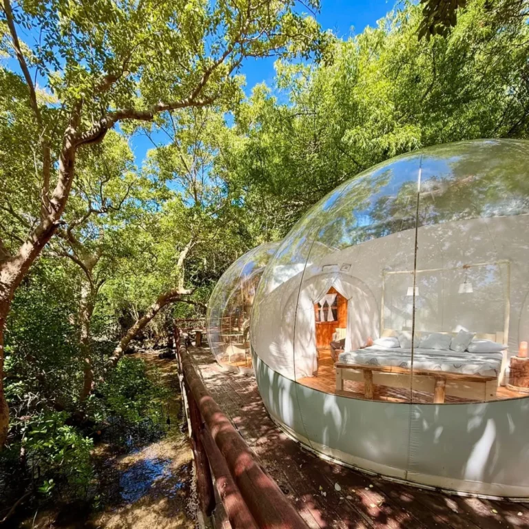 A transparent Bubble Lodge surrounded by tropical trees at The Rock & Sea
